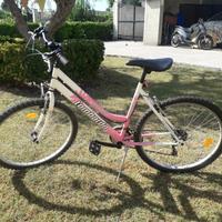 Mountain bike donna lombardo da 26