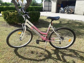 Mountain bike donna lombardo da 26