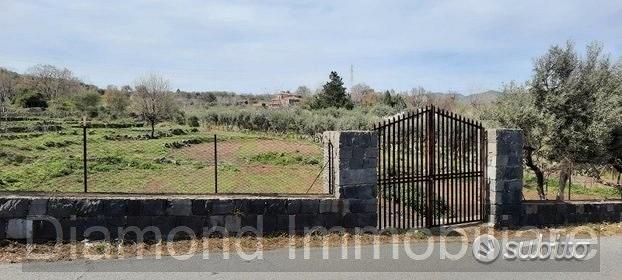 Terreno 15.000 mq a piedimonte etneo - Vista 2