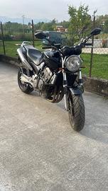 HONDA HORNET 900