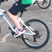 bici rockrider misura 20