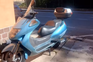 Honda Foresight 250