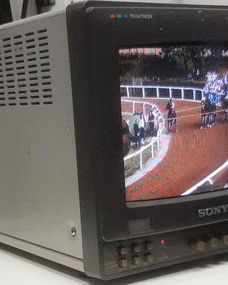 MONITOR PROFESSIONALE SONY