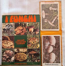 enciclopedia dei funghi 