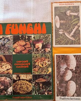 enciclopedia dei funghi 