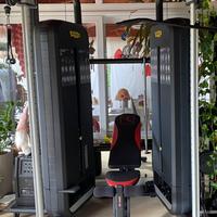 DAP (Dual Adjustable Pulley Fitness)