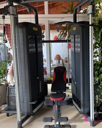 DAP (Dual Adjustable Pulley Fitness)