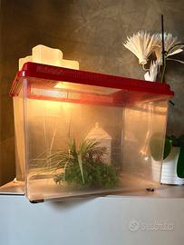 Acquario completo 25L + filtro + accessori