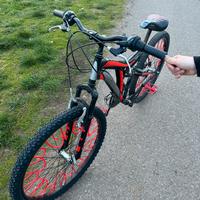 Bicicletta Ghiaroni 26