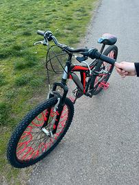 Bicicletta Ghiaroni 26