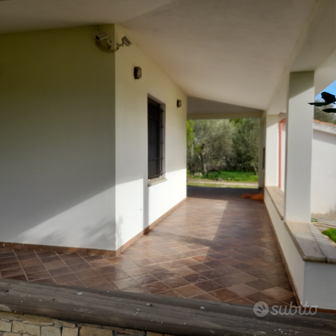 Villetta su tre ettari di terreno 400 piante ulivo - Vista 6