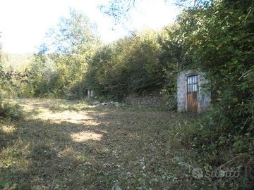 Terreno Agricolo