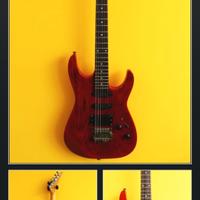 chitarra elettrica JS by Aria Pro II