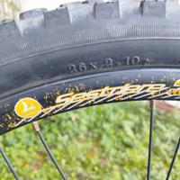 Bicicletta Mountain bike Lombardo 26