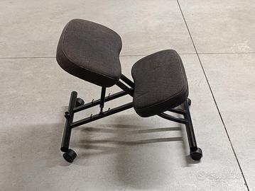 Sedia ergonomica 