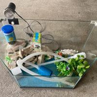 Tartarughiera acquario + accessori