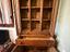 Immagine 5