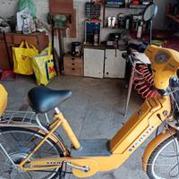 bicicletta elettrica