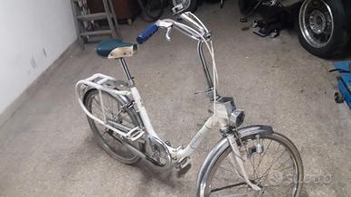 graziella carnielli 22 (550a)