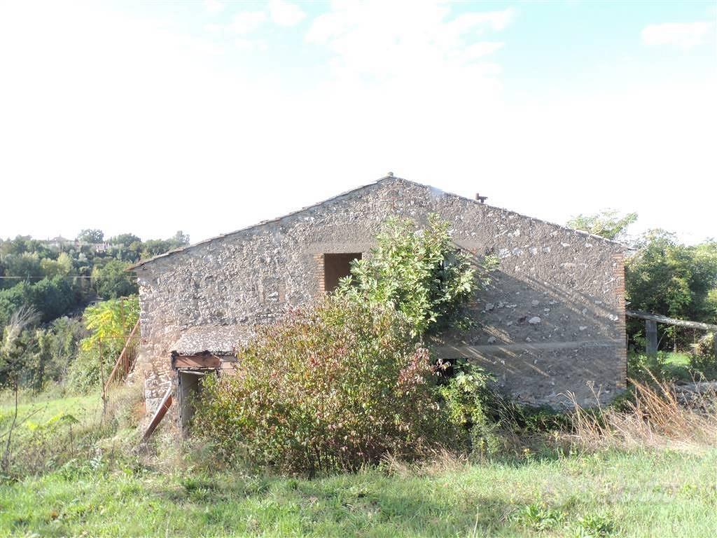 Rustico / Casale di 350 m² con 1 locale a Penna in - Vista 5