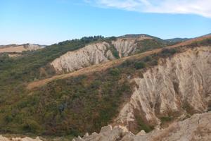 Rustico manufatto con uliveto