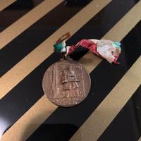 Medaglia divisione venezia