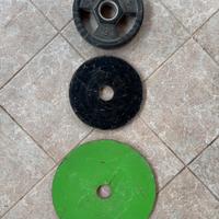 Dischi in ghisa olimpici