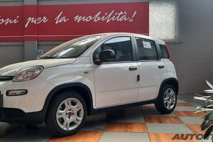 FIAT Panda 1.0 FireFly S&S Hybrid Pop PANDINA...