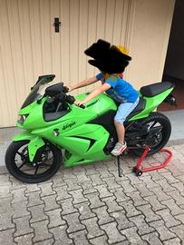 Kawasaki Ninja 250r