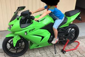 Kawasaki Ninja 250r