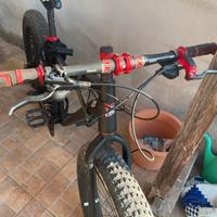 Bici ruote giganti