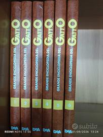 enciclopedia del  Gatto