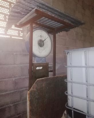 Bilancia Stadera professionale
