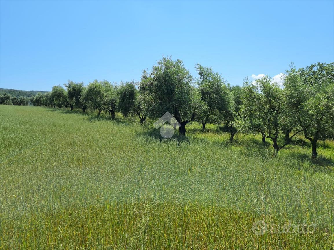TER. AGRICOLO A NARNI - Altro