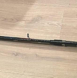 Canna da pesca carpfishing