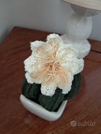 pianta succulenta artigianale