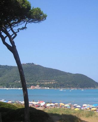 Dal 8 al 15 agosto Bilocale Populonia BARATTI - 4