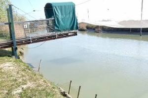 Rustico / Casale di 121 m² con 1 locale a Ravenna