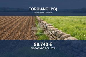 Immobile in asta di 58640 m² a Torgiano