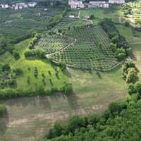 Terreno agricolo a montelaguardia