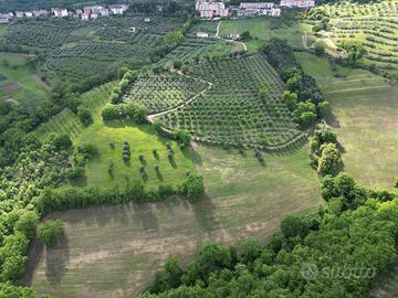Terreno agricolo a montelaguardia
