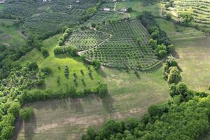 Terreno agricolo a montelaguardia