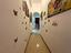 Immagine 7