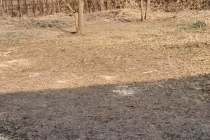 Terreno, Mondragone "DOMIZIANA"