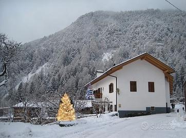 CASA con GIARDINO 7/8p BREVI SOGGIORNI valdifiemme