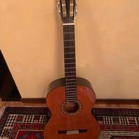 Chitarra classica Ibanez