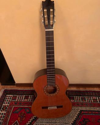 Chitarra classica Ibanez