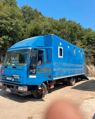 Van cavalli 4 posti