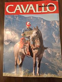 Raccolta riviste cavallo magazine