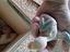 Immagine 6